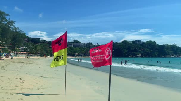 Drapeau sans nager et nager ici message sur le vent à la plage bondée mais belle à Phuket — Video