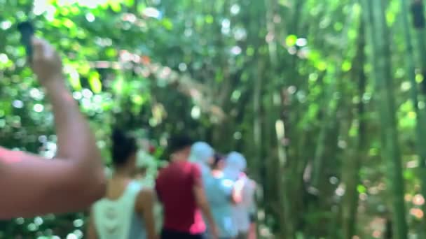 Groep toeristen loopt door groen bos tijdens reizen op tropisch eiland. — Stockvideo