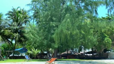 Güneşli bir günde tropik tatil beldesindeki güzel bungalov ve güneşli yatak manzarası.