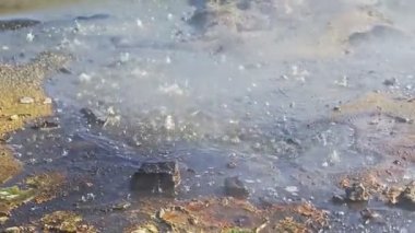 Doğanın harikaları gayzerler vadisinde su kaynıyor ve buhar çıkıyor.