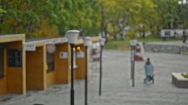 Resimli şehir parkı. Bulanık, yumuşak odak görüşlü, bebek torbası gibi yürüyen kadın tepeden aşağı doğru yürüyor.