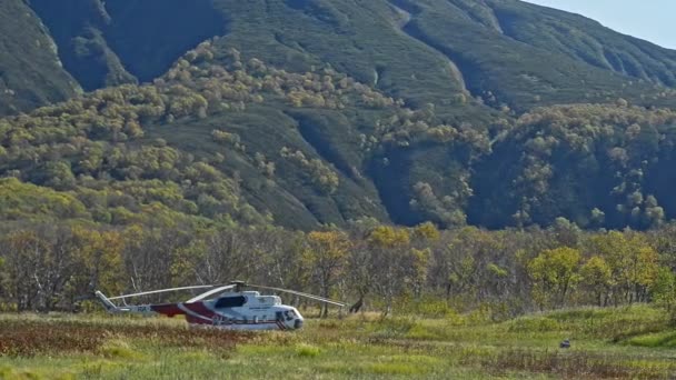 Współczesne samoloty i spacery psów natury w pobliżu helikoptera — Wideo stockowe