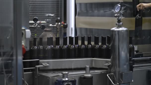 Bebidas alcohólicas producción botellas de vino en la línea transportadora — Vídeo de stock