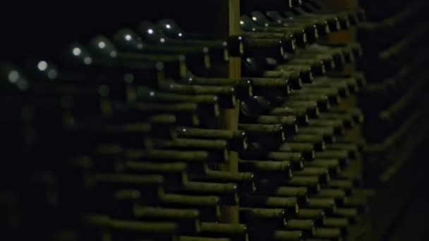 Tenuta tradizionale di file di vino imbottigliato di bevande care — Video Stock