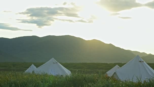 Ekologiczny obóz glamping grupa namiotów w polu z bujną trawą — Wideo stockowe