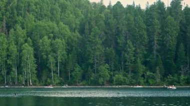 Aktivite insanlar yüzer ve yelken katamaranları Yazları açık havada