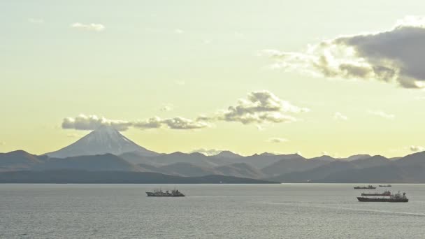 Buques mercantes de carga están anclados en tranquilas aguas del océano Avki — Vídeo de stock