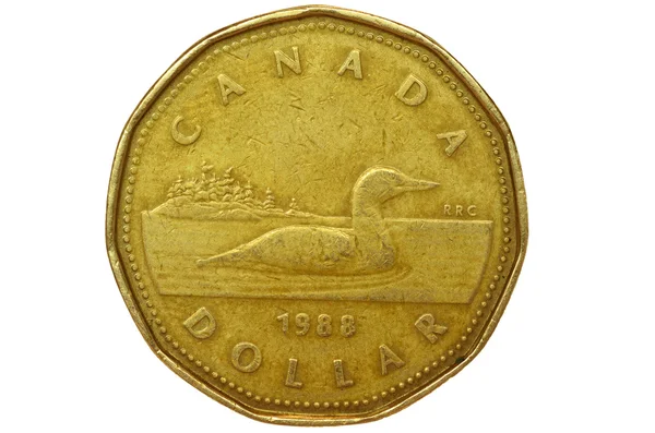 Conjunto de Dolar canadiense — Foto de Stock