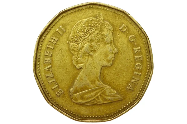Set of Canadian Dollar — Stock Photo, Image