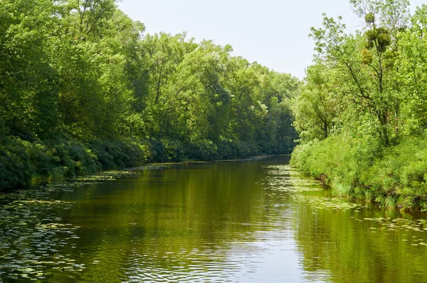 Zomer landschap mistige ochtend op de rivier — Stockfoto