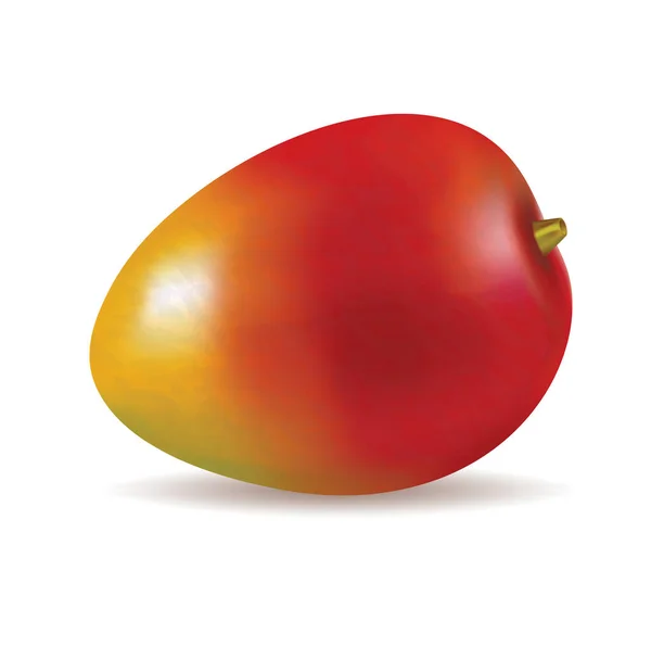 Rijp Verse Mango Vector Illustratie — Stockvector