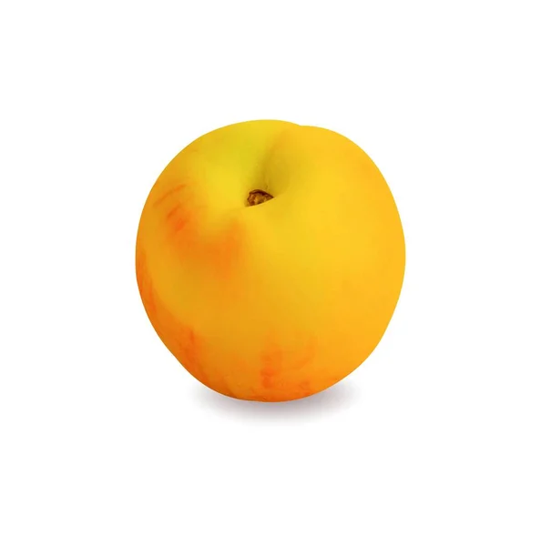 白色矢量图上的成熟桃 — 图库矢量图片