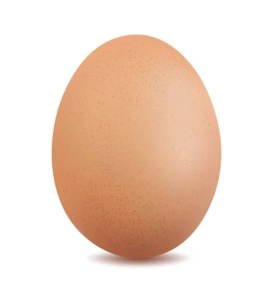 Chicken Egg Isolated White Background Vector Illustration — Stock Vector