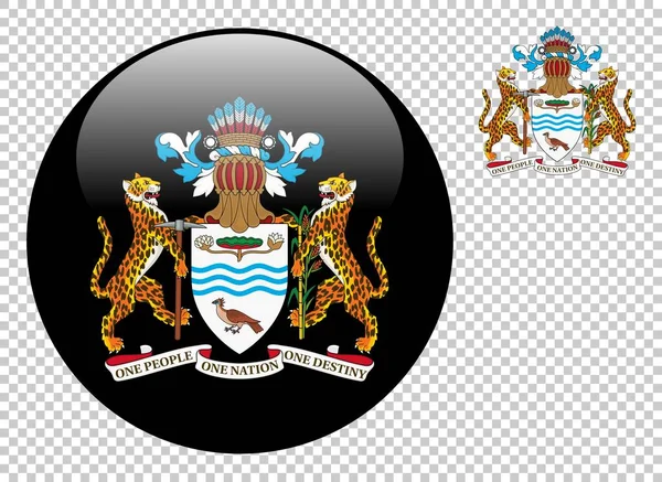 Escudo Armas Guyana Vector Ilustración Sobre Fondo Transparente — Vector de stock