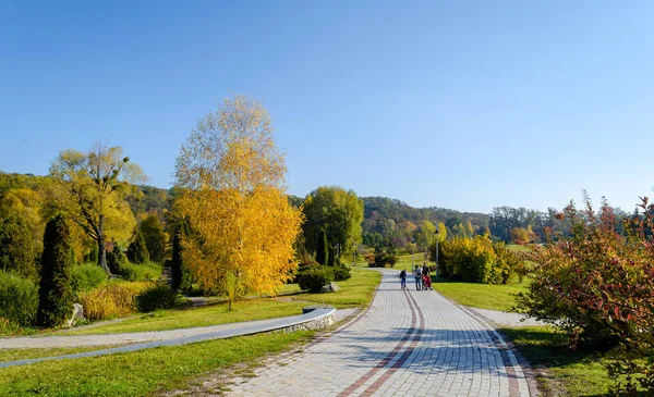 Wunderschöner Herbstpark Herbst Kyjiw Herbstbäume Und Blätter Herbst Landschaftspark Herbst — Stockfoto