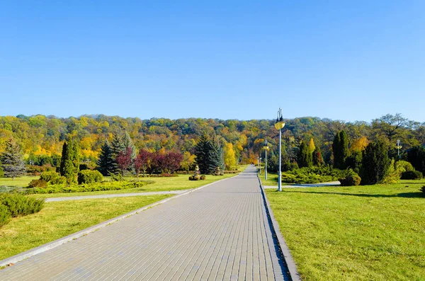 Wunderschöner Herbstpark Herbst Kyjiw Herbstbäume Und Blätter Herbst Landschaftspark Herbst — Stockfoto