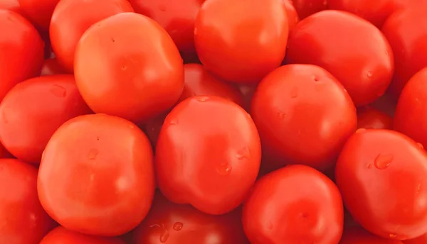 Tomaten — Stockfoto