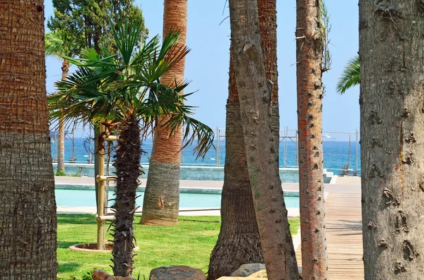 A view of Molos Promenade on the coast of Limassol city in Cypr — Stock Photo, Image