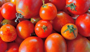 Olgun domates