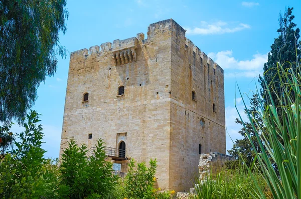 Kolossi Castle strategic — Stock Photo, Image