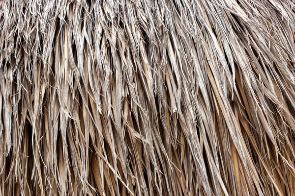 Tło Dachu Pokrytego Suchymi Liśćmi Palmy Naturalna Faktura Popularny Materiał — Zdjęcie stockowe