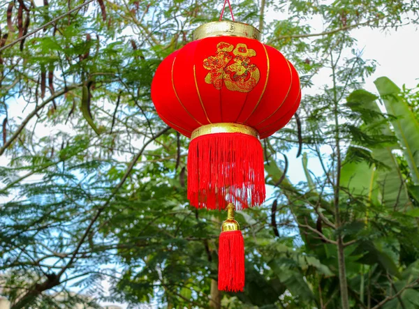 伝統的な赤中国の旧正月の提灯はぼやけた自然な背景にぶら下がっている — ストック写真