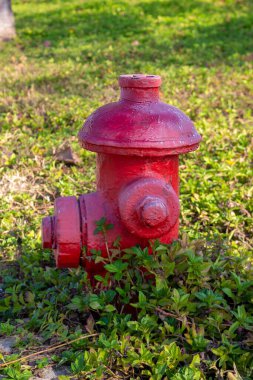 Güneşli bir günde Sanya şehrinde yeşil çimlerde klasik kırmızı yangın tüpü. Asya 'da yangın söndürme sistemi
