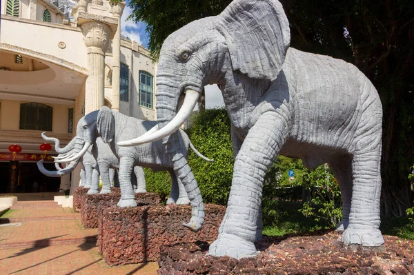 Chine Île Hainan Sanya Janvier 2020 Une Rangée Statues Éléphants — Photo