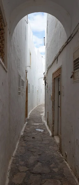 Tunus Hammamet Kasabası Medine Dar Bir Yol Kuzey Afrika Geleneksel — Stok fotoğraf