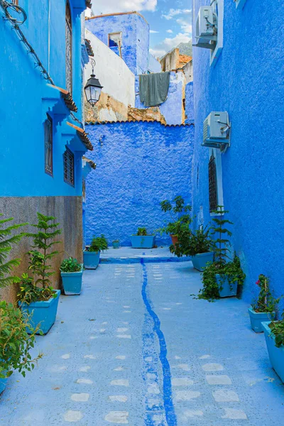 Geleneksel Mavi Cadde Medine Şef Fas Çiçek Saksılarıyla Süslenmiş — Stok fotoğraf