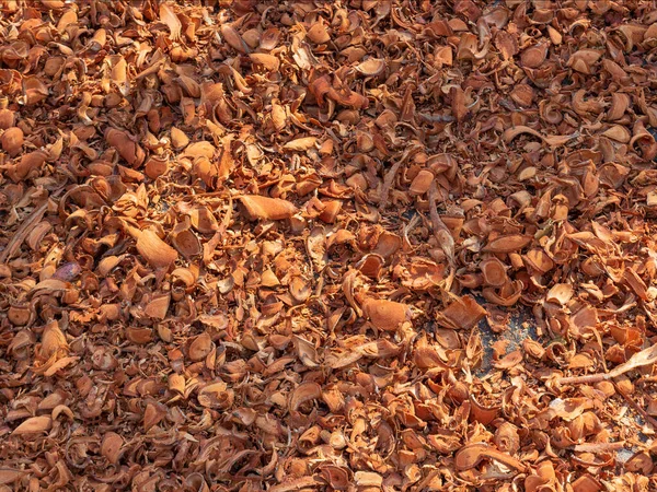 Textured Background Wood Chips Coconut Shell — Stock Photo, Image