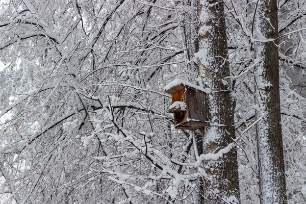Snötäckt Fågelhus Snöigt Träd Vinterskog — Stockfoto