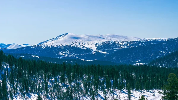 Kış Orman Manzarası Ergaki Dağ Sırası Rusya Daki Batı Sayan — Stok fotoğraf