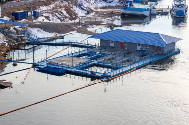 Bahar başında nehirdeki alabalık çiftliğinin manzarası. Doğal nehirde balık çiftçiliği için kafesler