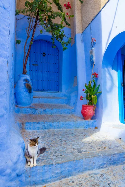 Tipica Strada Blu Medina Chefchaouen Marocco Nord Africa — Foto Stock
