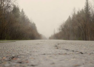 Sabah sisi, çıplak ormandan geçen boş kır yolunda. Rusya, Sibirya 'da bahar başlarında atmosfer manzarası gri tonda