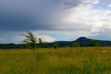 Summer landscape on meadow before the storm. Gloomy heavy clouds before the rain. View of Black Sopka or Karatag near Krasnoyarsk, Siberia