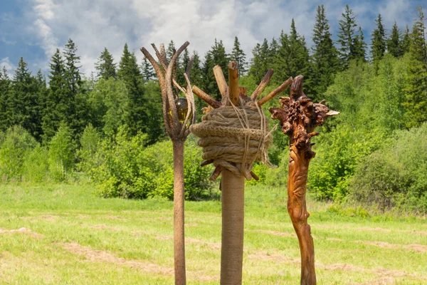 Trois Bâtons Bois Magiques Sur Prairie Sur Fond Forêt — Photo