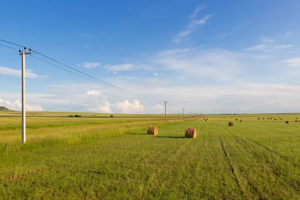 Paisagem Verão Com Fardos Palha Terras Agrícolas — Fotografia de Stock