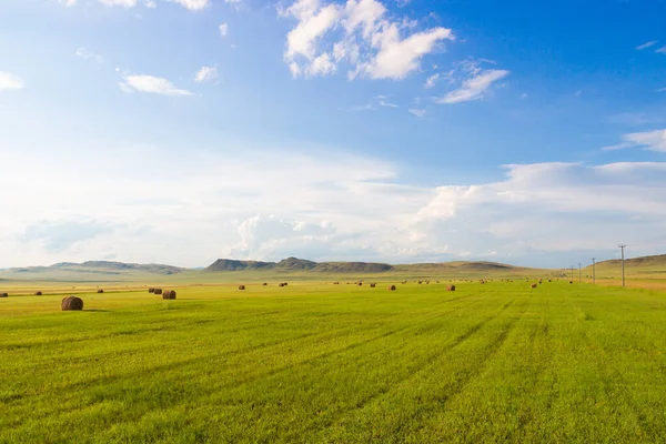 Paisagem Verão Com Fardos Feno Nos Campos Agrícolas Contra Pano — Fotografia de Stock