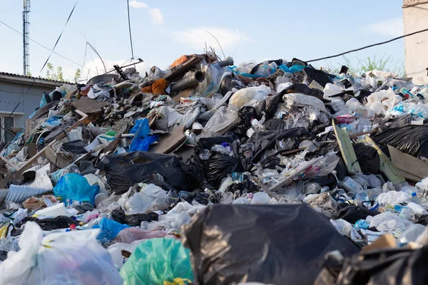 Krasnoïarsk Russie Août 2021 Tas Ordures Déchets Avant Tri Sur — Photo