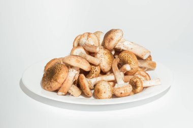 Beyaz arka planda izole edilmiş beyaz tabakta taze mantarlar bal tarımları. Armillaria mellea veya bal mantarı yenilebilir güzel bir mantardır.