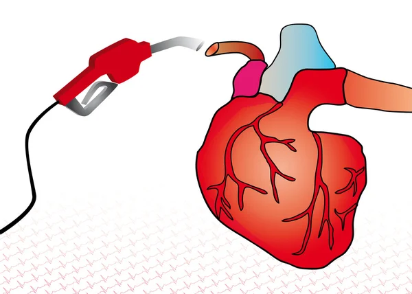 心脏系统 — 图库矢量图片