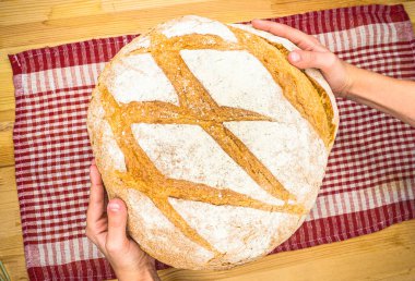 Taze pişmiş beyaz ekmek, ekşi ekmek. Taze pişmiş organik buğday ekmeği. Taze yuvarlak ekmek manzaralı çocuk