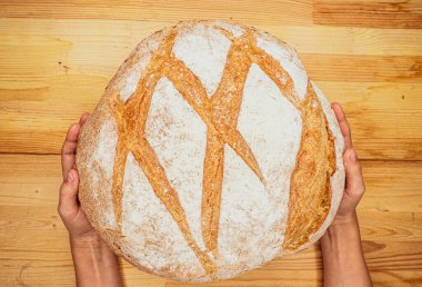 Taze pişmiş beyaz ekmek, ekşi ekmek. Taze pişmiş organik buğday ekmeği. Taze yuvarlak ekmek manzaralı çocuk