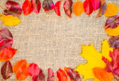 Sonbahar kompozisyonu. Eski püskü bir arka planda düşmüş yapraklardan yapılmış bir çerçeve. Mat, kırsal tarzda. Sonbahar, sonbahar, Şükran Günü konsepti. Düz konum, üst görünüm, kopyalama alanı, oval
