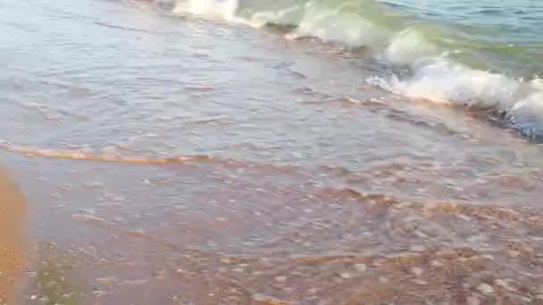 Plastová Láhev Plovoucí Mořských Vlnách Odpad Domácností Znečišťující Svět Oceánský — Stock video