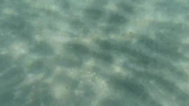 Nahaufnahme Video Aufnahmen Von Sonnigem Klarem Wasser Des Sandigen Meeresbodens — Stockvideo