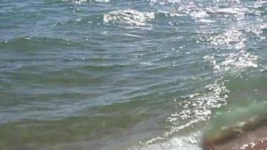 Afrika örgülü orta yaşlı bir kadın lastik halkayla denize koşuyor. Seyahat ve turizm konsepti. Uzayı kopyala, arka plan 