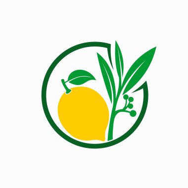 Okaliptüs ve limon vektörü